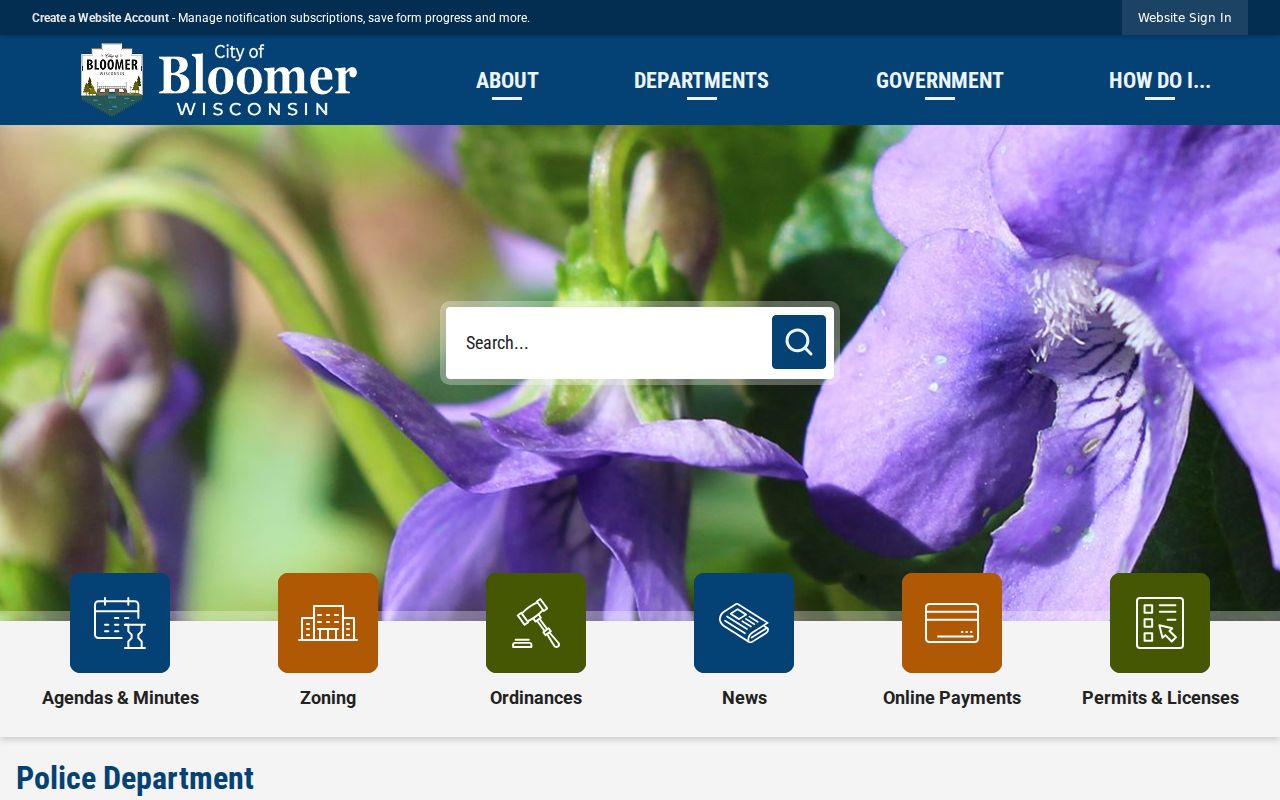 Bloomer police department criminal records information
